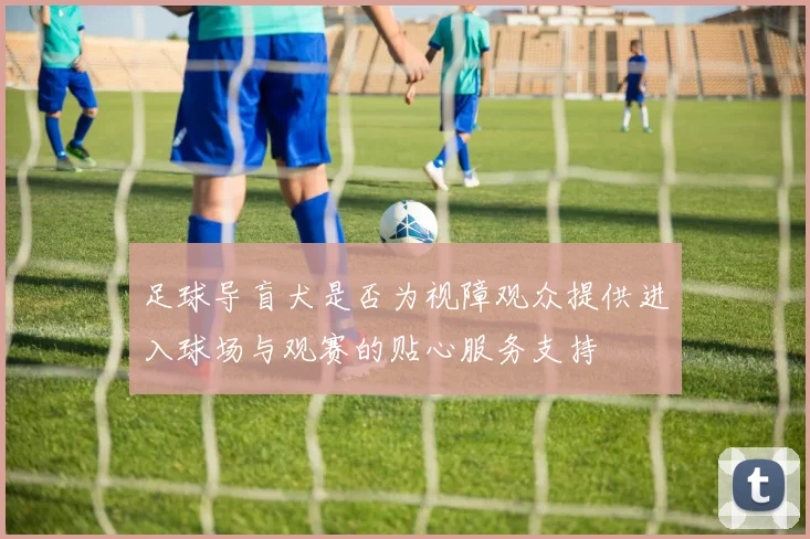 足球导盲犬是否为视障观众提供进入球场与观赛的贴心服务支持