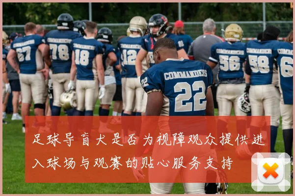 足球导盲犬是否为视障观众提供进入球场与观赛的贴心服务支持